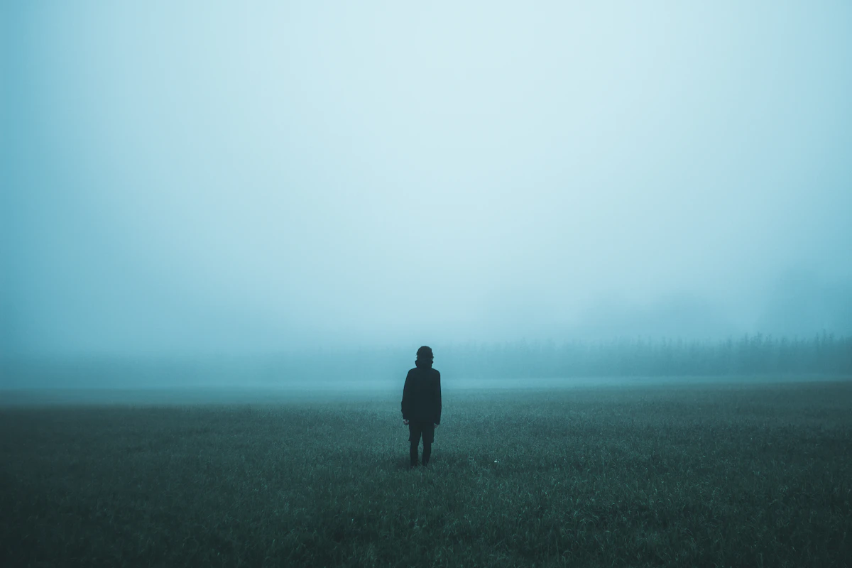 A lone figure standing far off on misty ground